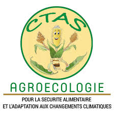 Logo CTAS