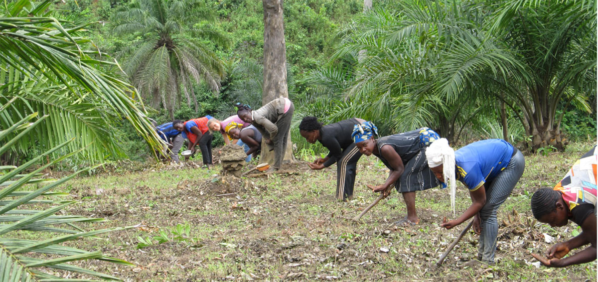 One-Health-Guinee